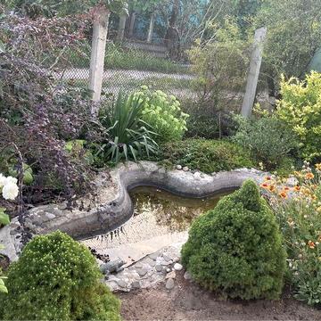 Дача Кировчанка