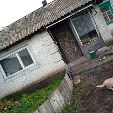 Терміново продам будинок в селі Богуслав