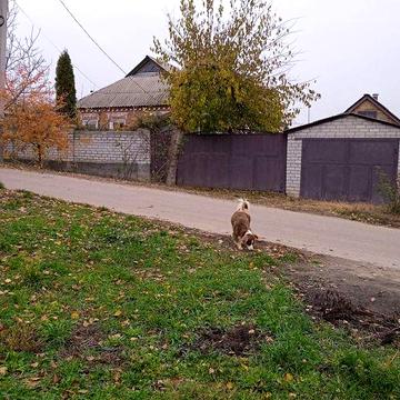 Продам дом в пос. Высокий