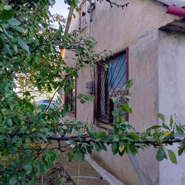 Гвоздичная