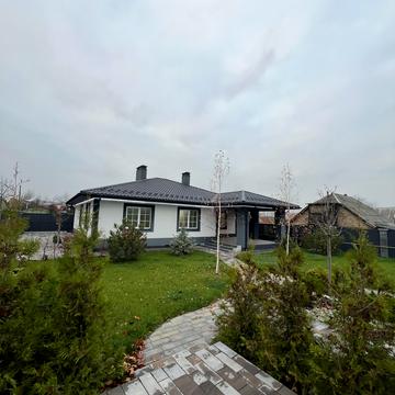 Якова качури, 15