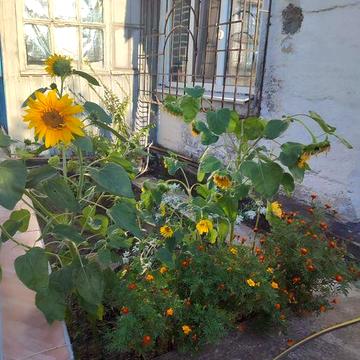 В продаже Дом 77кв.м Северный