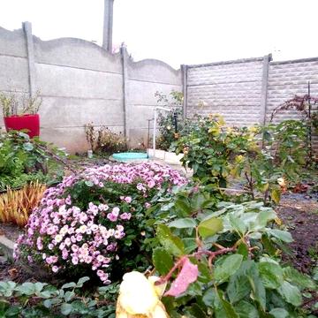 Продам 1\2 дома Залютино ул. Житная