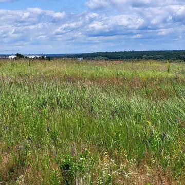 Гостомель, Бучанський, Київська область 100000.0 EUR