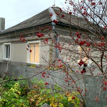 Здам в довгострокову оренду будинок