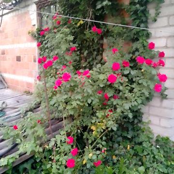 Продам дачний участок з двухетажним будинком