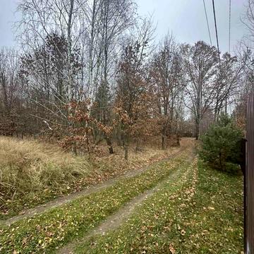 Наливайківка, Бучанський, Київська область 5500.0 USD