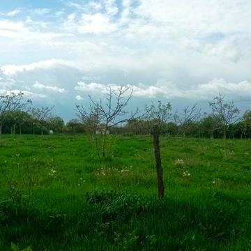 Малі Геївці, Ужгородський, Закарпатська область 10000.0 USD