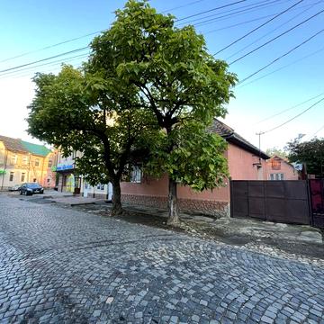 Продам будинок 97 м2 приват ділянка 3 сотки Центр Берегово