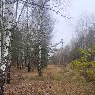 Калинівка, Бучанський, Київська область 39150 USD