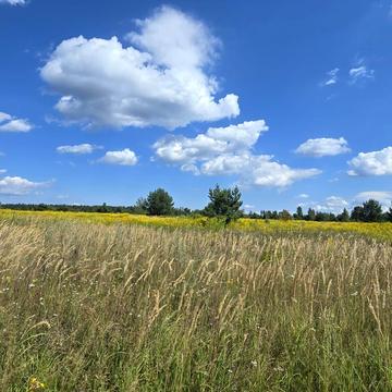 Старі Петрівці, Вишгородський, Київська область 8000.0 USD