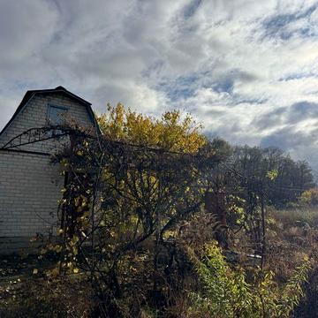 Продаж дачного будинку біля лісу