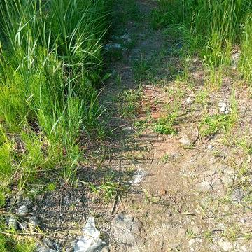 20 тис. - за все. Продам дачу вагончик в Києві ( зем.діляNкy). Жуляни