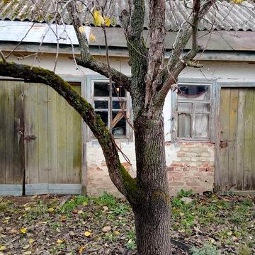 Приватний будинок в селі Жаботин (Черкаська область)