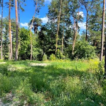 Хлепча, Фастівський, Київська область 325000.0 USD