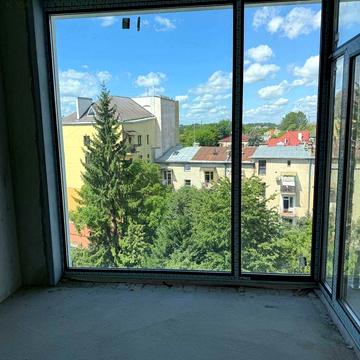 Мечникова І., 39