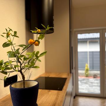 Бориса Лятошинського вул. (1 Травня)