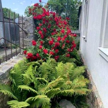 Продам будинок в центрі Баварії у гарному житловому стані