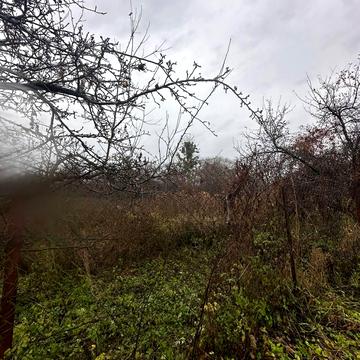 Рудне, Львівський, Львівська область 19000.0 USD