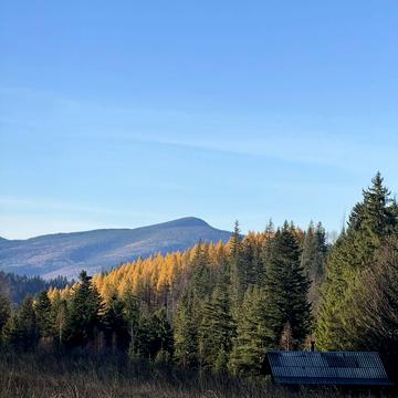 Микуличин, Надвірнянський, Івано-Франківська область 191000.0 USD
