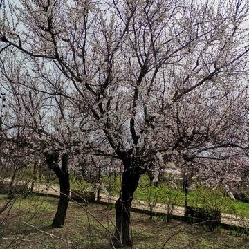 Пересадівська вул., 2