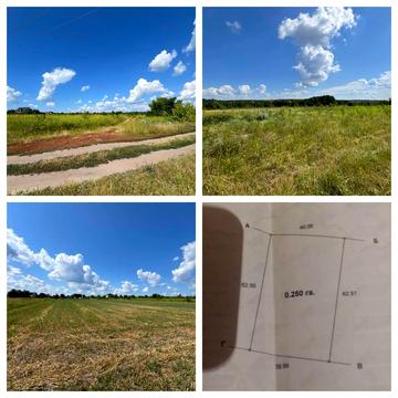 Яблунівка, Фастівський, Київська область 12000.0 USD