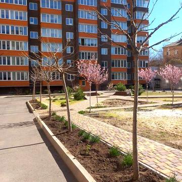 квартиру в новом доме ЖК ГРАНДБУД