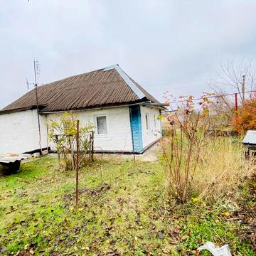 Перлинна, 12