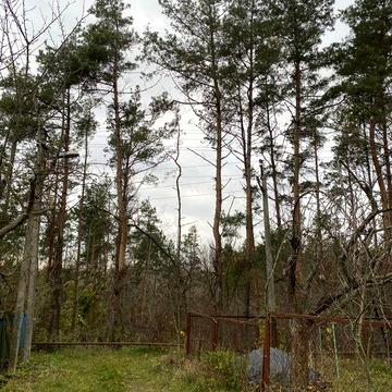 Продам будинок з землею в с. Гребені