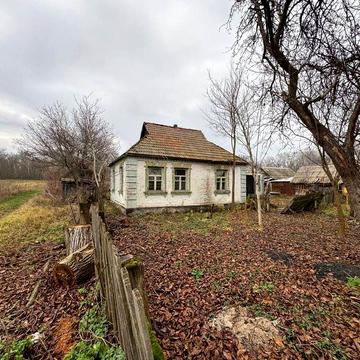 Продам будинок в селі біля лісу