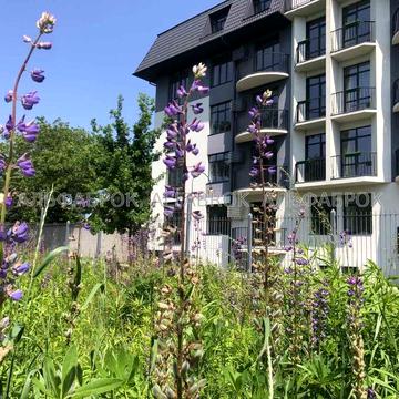 продаж 1 кімнатноі квартири в Києві вул. Тираспільська, 44