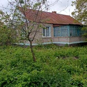 Продам будинок в селі Будичани 45 км від Житомира.