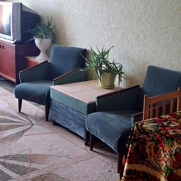 Довгострокова оренда 1к Квартира Панаса Мирного вулиця