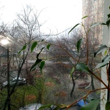 Сдам 3х к.кв Холодная Гора