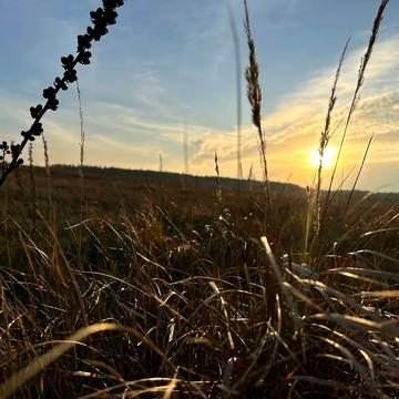 Микуличі, Бучанський, Київська область 9000.0 USD