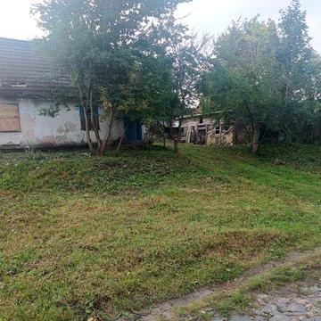 Будинок в центрі