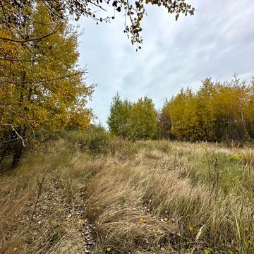 Михайлівка-Рубежівка, Бучанський, Київська область 7000.0 USD