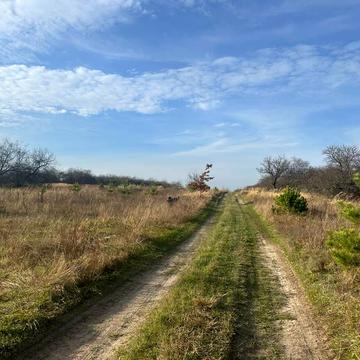 Микуличі, Бучанський, Київська область 6000.0 USD