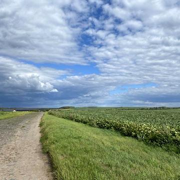 Колоденка, Рівненський, Рівненська область 40000.0 USD