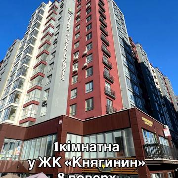 Княгинин вул., 44