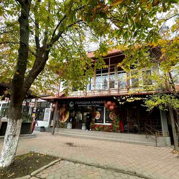 Євгена Чикаленка вул., 62а