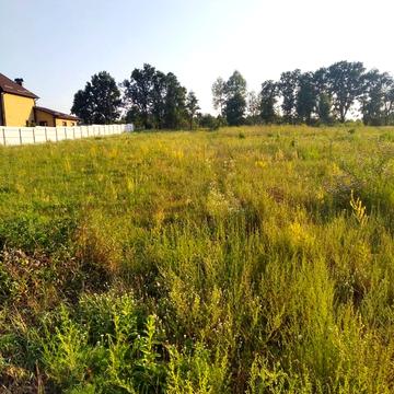 Макарів, Бучанський, Київська область 8000.0 USD