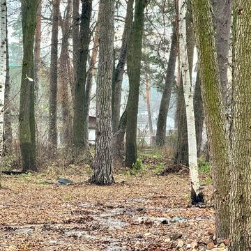 Набережна Бучанського парку, Буча, Бучанський, Київська область 110000.0 USD