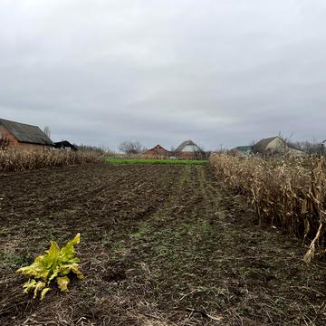 Остапа Вишні