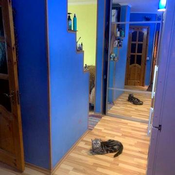 Дам на виплату або здам в оренду  чи обміняю ЖК Затішни дім