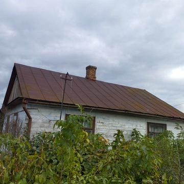 Продам будинок Малий Житин ділянка 41 сот