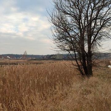 Мощун, Бучанський, Київська область 13500.0 USD