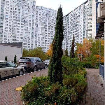 Бориса Гмирі вул., 2