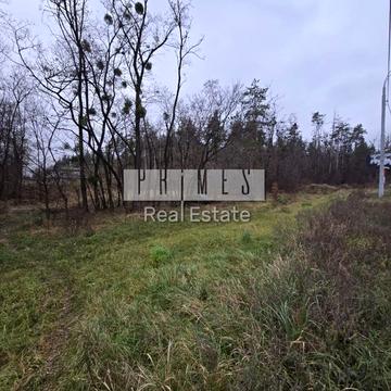 Вишгород, Вишгородський, Київська область 55000.0 USD