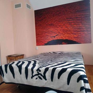 Оренда будинку поблизу Берегово. Всі комунальні входять у вартість.